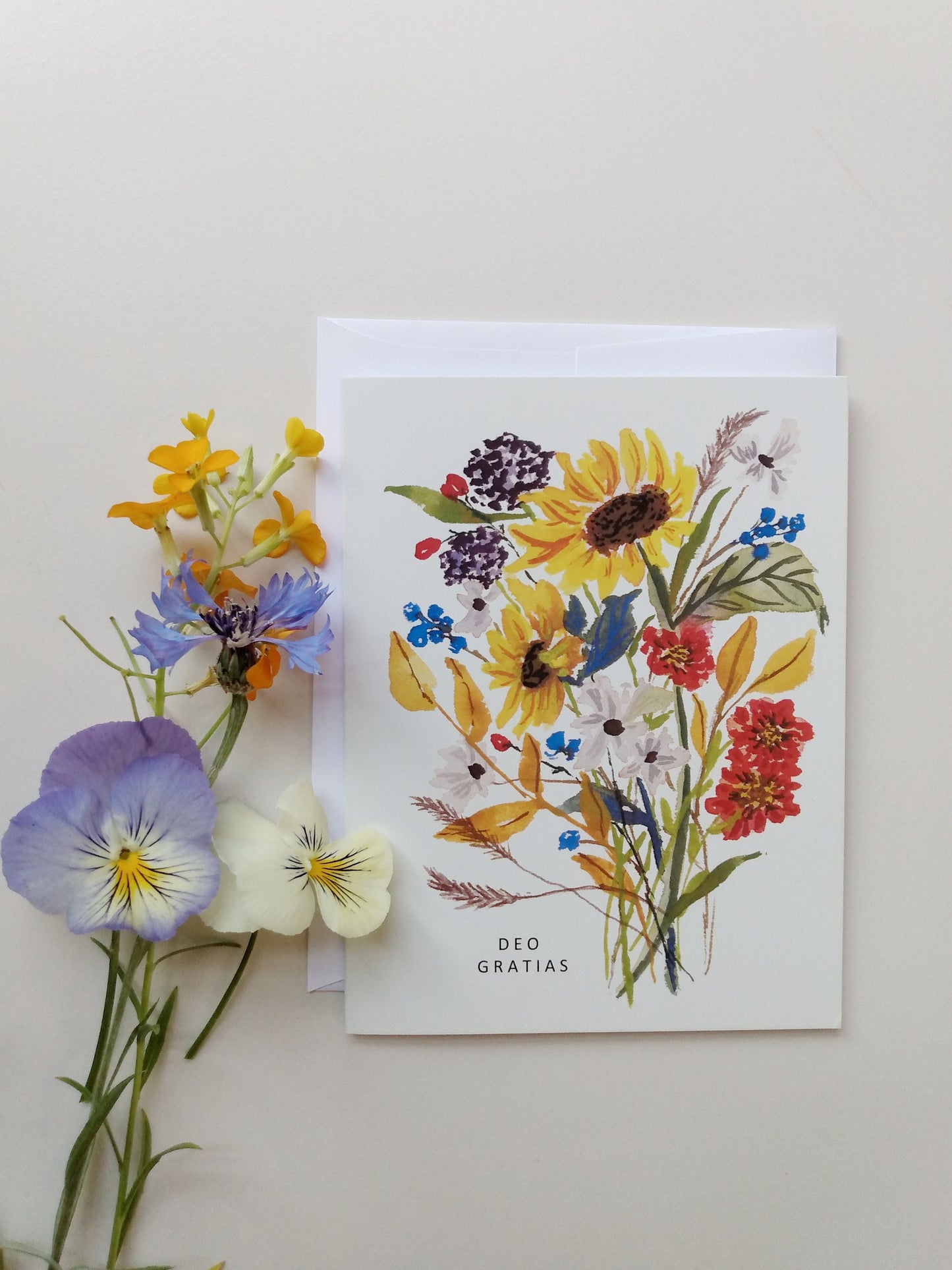 Mystery Pack of Five Greeting Cards