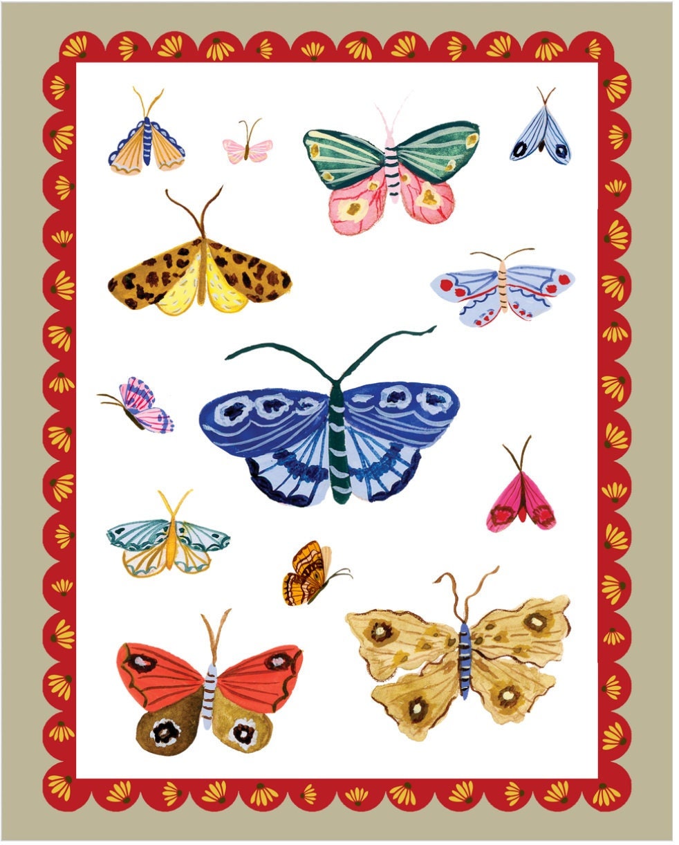 Butterfly Study Art Print