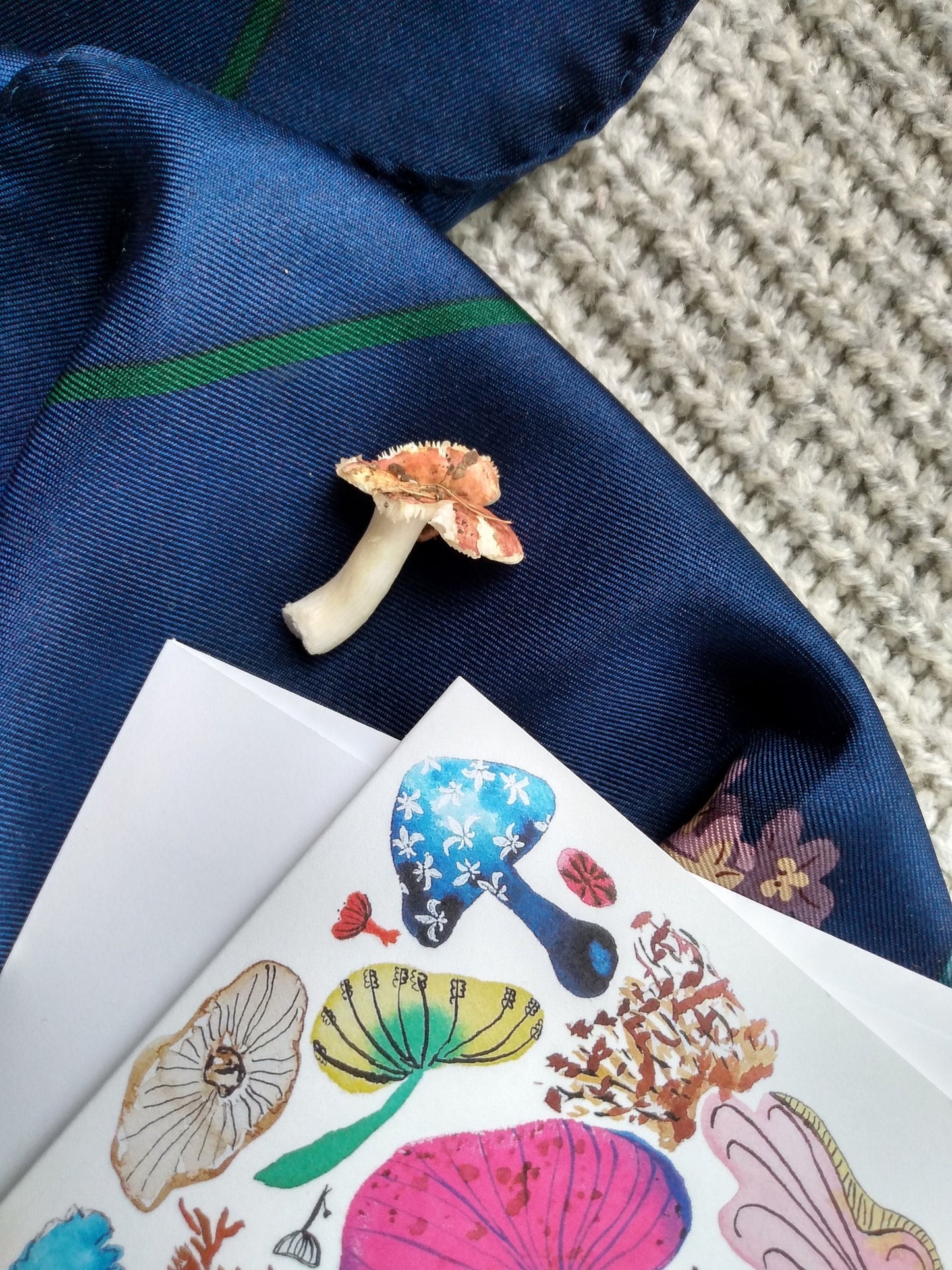 Colorful Mushrooms Greeting Card